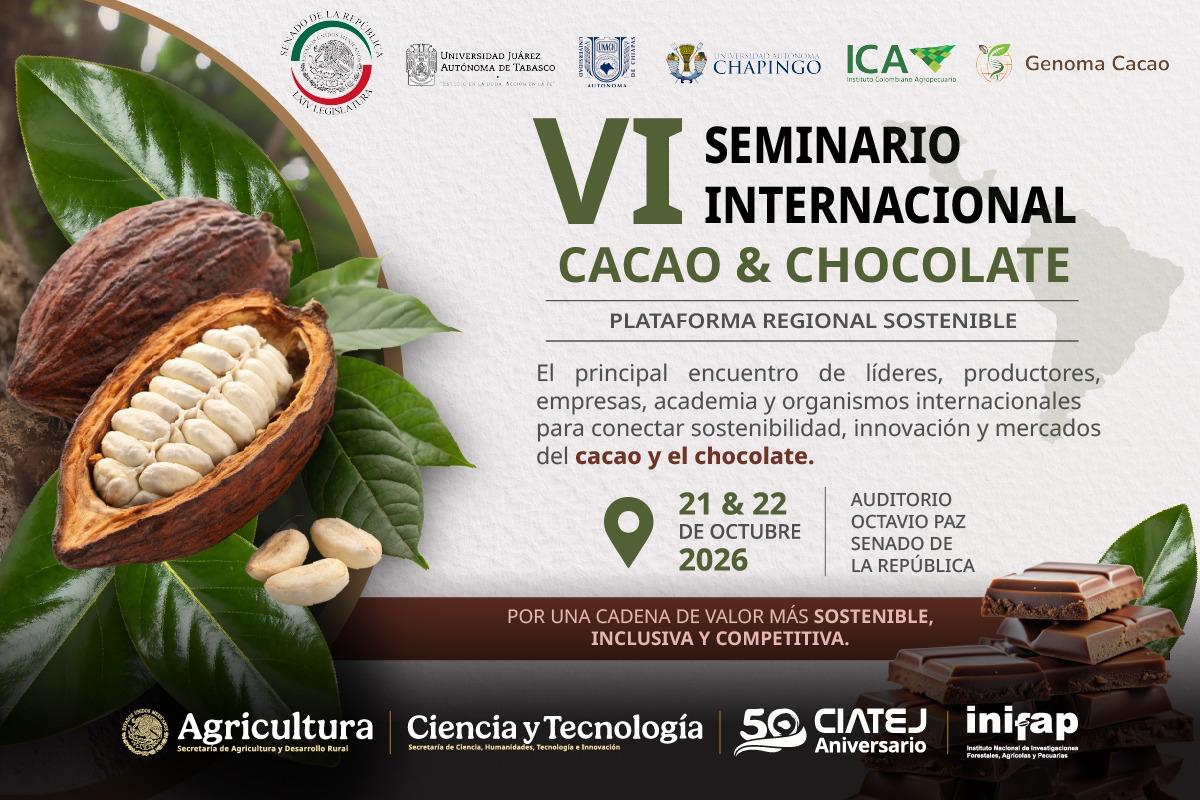 vi seminario