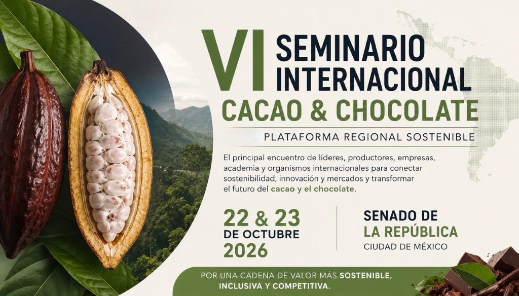 vi seminario